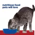 Hill's Prescription Diet i/d Digestive Care Kitten Wet Cat Food - Chicken image thumbnail 4