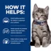 Hill's Prescription Diet i/d Digestive Care Kitten Wet Cat Food - Chicken image thumbnail 5