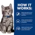 Hill's Prescription Diet i/d Digestive Care Kitten Wet Cat Food - Chicken image thumbnail 6