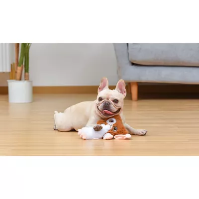 Product Gremlins Mogwai 9" Plush Dog Toy
