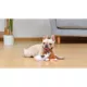Product Gremlins Mogwai 9" Plush Dog Toy