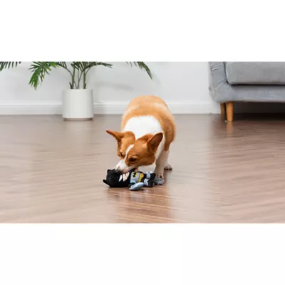 Product DC Comics, Batman Grabbling Hook Rope Flattie Dog Toy 9"