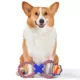 Product DC Comics, Superman Plush Dog Rope