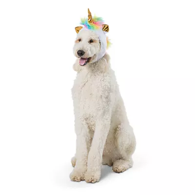 Product Thrills & Chills® Headwear Costume for Pets- Witch, Unicorn, Cupcake and Lion