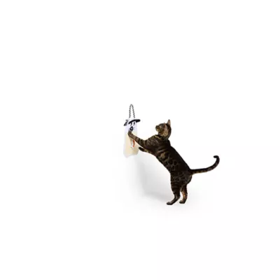 Product Thrills & Chills® Ghost Cat Door Hanger