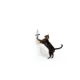 Product Thrills & Chills® Ghost Cat Door Hanger