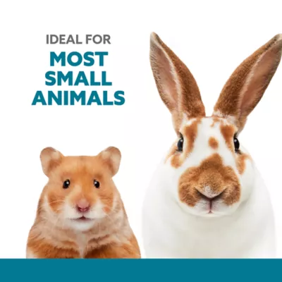 Full Cheeks™ Small Pet Stainless Steel Food Bowl - Image 2