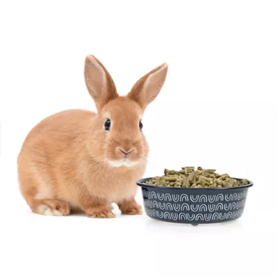 Full Cheeks™ Small Pet Stainless Steel Food Bowl - Image 4