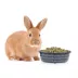 Full Cheeks™ Small Pet Stainless Steel Food Bowl image thumbnail 4