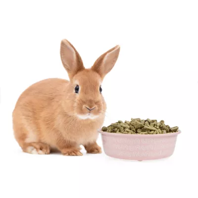 Product Full Cheeks™ Small Pet Stainless Steel Food Bowl