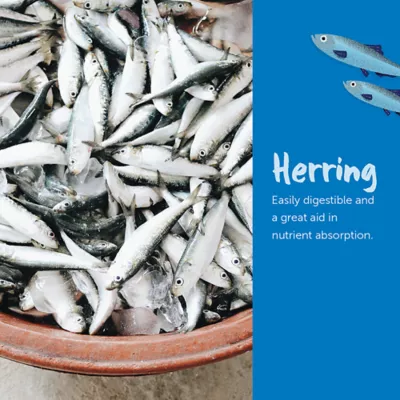 Loveabowl Dry Dog Food - Herring and Salmon - Image 2