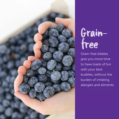 Loveabowl Dry Dog Food - Herring and Salmon - Image 6