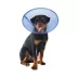 Calm Paws CALMING E-Collar, Blue image thumbnail 1