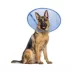 Calm Paws CALMING E-Collar, Blue image thumbnail 1