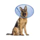 Product Calm Paws CALMING E-Collar, Blue