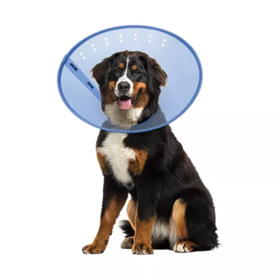 Product Calm Paws CALMING E-Collar, Blue