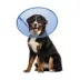 Calm Paws CALMING E-Collar, Blue image thumbnail 1