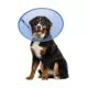 Product Calm Paws CALMING E-Collar, Blue