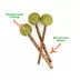 Meowijuana® Lollies-Silvervine Sticks with Catnip Cat Toy image thumbnail 3