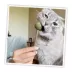 Meowijuana® Lollies-Silvervine Sticks with Catnip Cat Toy image thumbnail 6