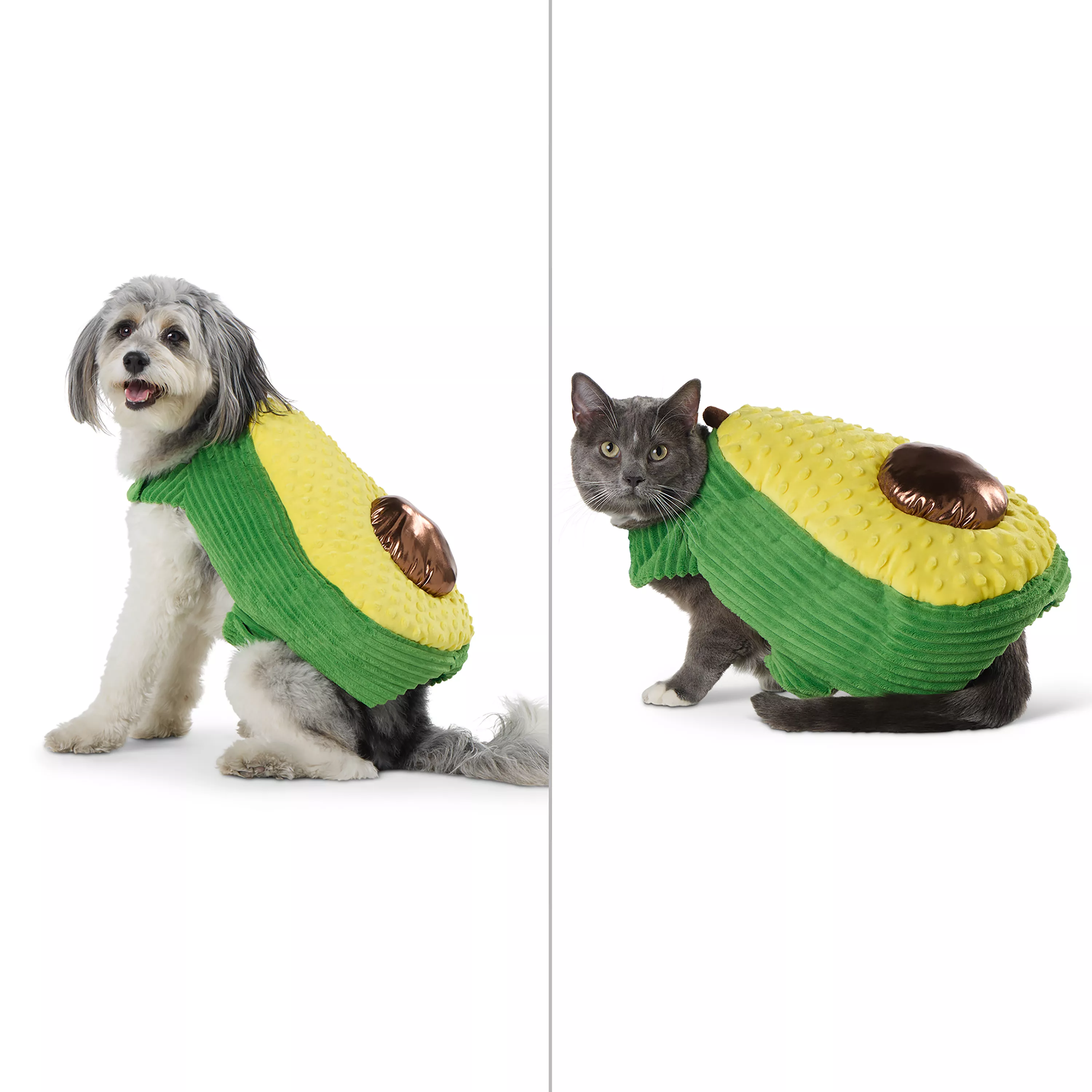Thrills & Chills® Pet Avocado Costume, Dog & Cat