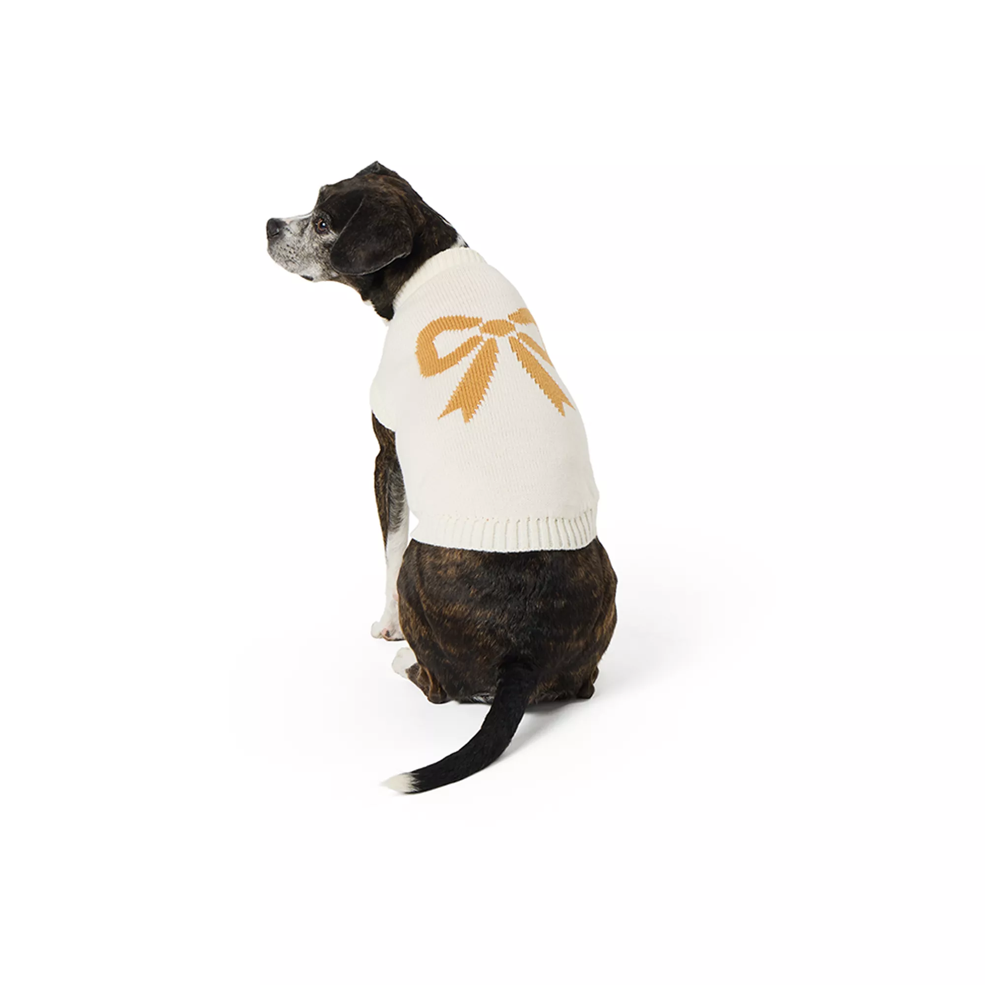 Top Paw® Dog Sweater