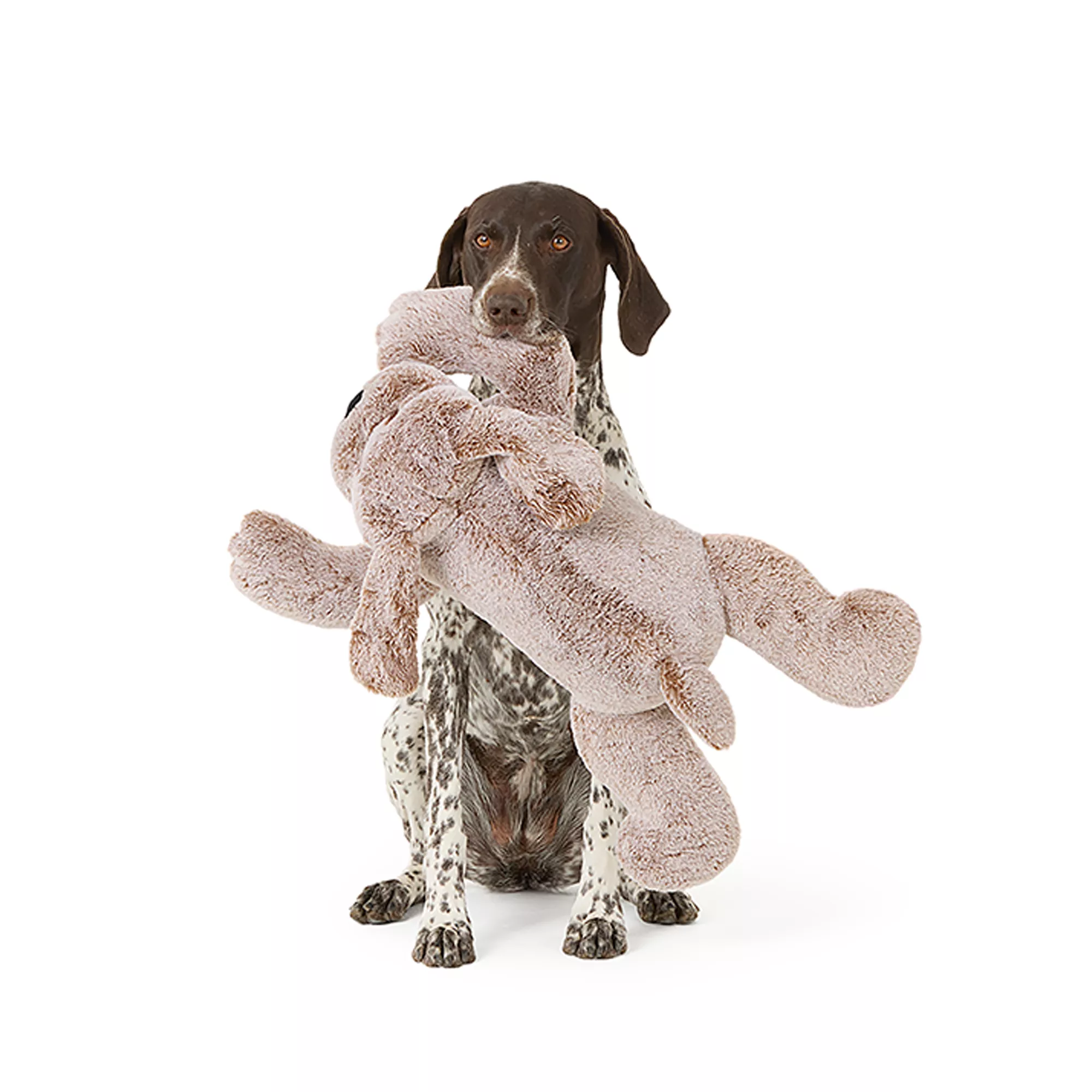 PetSmart Charities® Thrills & Chills® Squeaker XL Plush Dog Toy