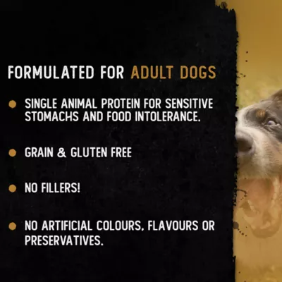 Only The Best Air Dried Adult Dog Food or Mixer - Beef & Pumpkin - Image 2