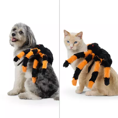 Product Thrills & Chills® LED Spider Costume, Dog & Cat