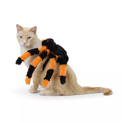 Product Thrills & Chills® LED Spider Costume, Dog & Cat