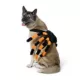 Product Thrills & Chills® LED Spider Costume, Dog & Cat