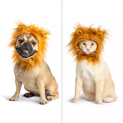 Product Thrills & Chills® Headwear Costume for Pets- Witch, Unicorn, Cupcake and Lion