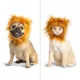 Product Thrills & Chills® Headwear Costume for Pets- Witch, Unicorn, Cupcake and Lion
