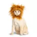Thrills & Chills Headwear Costume for Pets - Lion image thumbnail 2