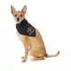 Product Thrills & Chills® Trick or Treat Bandana