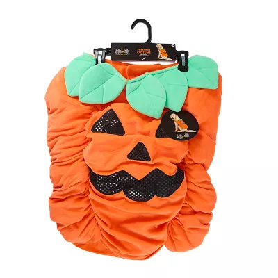 Product Thrills & Chills® Pet Pumpkin Costume, Dog & Cat