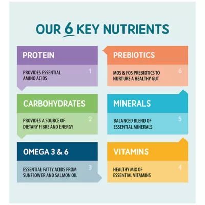 Naturo Adult Grain Free Dog Wet Food - Image 4