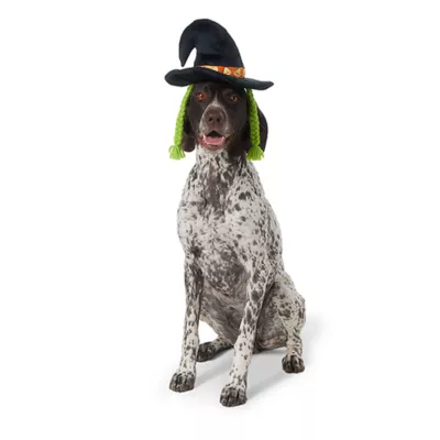Product Thrills & Chills® Headwear Costume for Pets