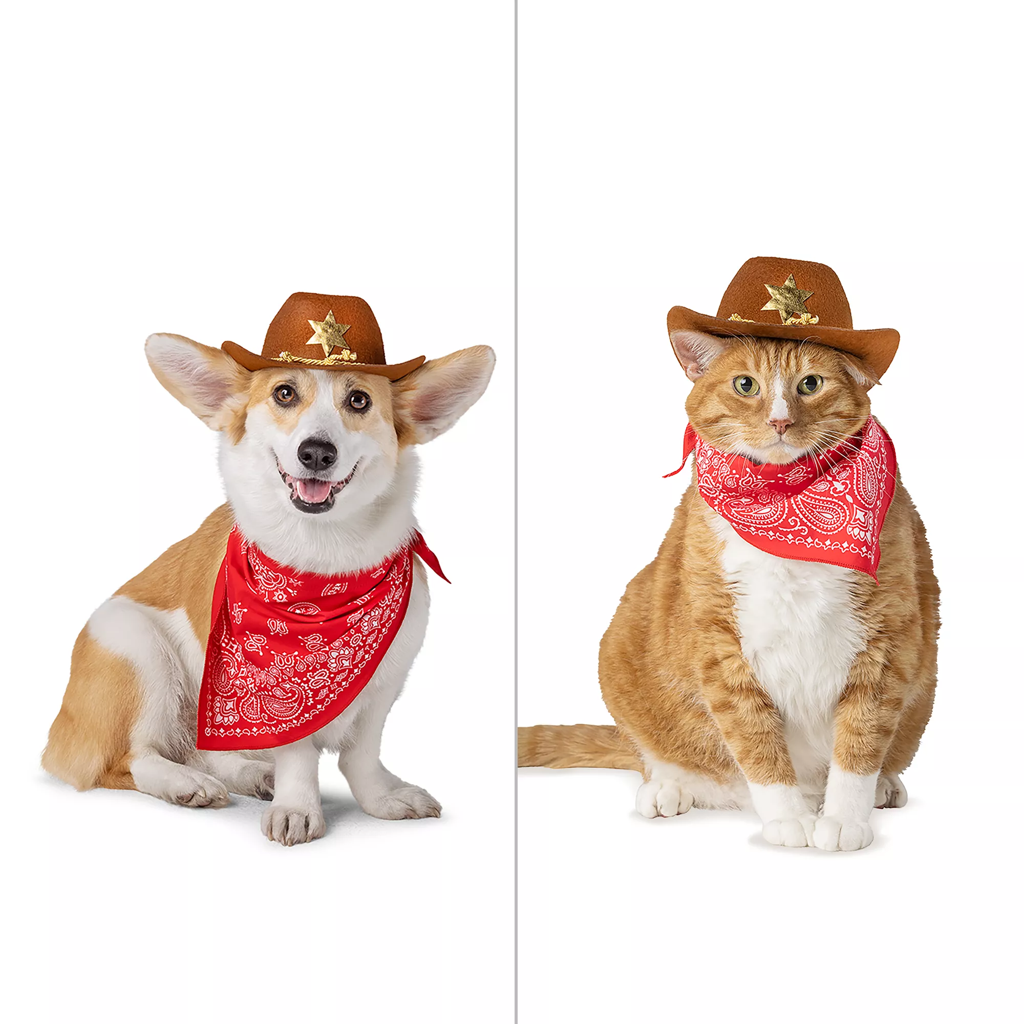 Thrills & Chills® Cowboy Hat & Bandana, Dog & Cat
