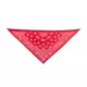 Product Thrills & Chills® Cowboy Hat & Bandana, Dog & Cat