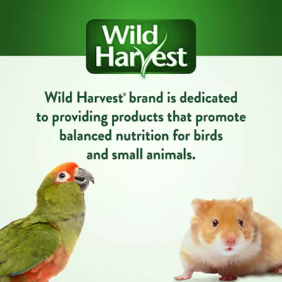 Product Wild Harvest Bake Shop Pastry Swirls Small Pet Treats