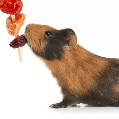 Product Wild Harvest Fruit Kabobs Small Pet Treats