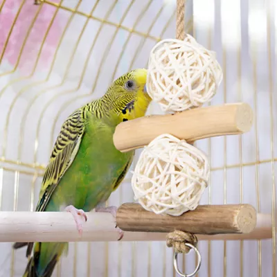 Product Wild Harvest Natural Toy