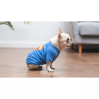 Product Superman DC Comics Flying Logo T-Shirt For Dogs