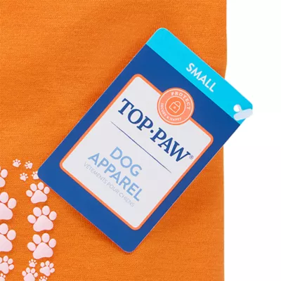 Product Top Paw® Pumpkin T-Shirt, Dog and Cat