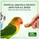 Product Wild Harvest Healthy Benefits Crunch Bars Bird Treats