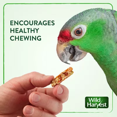 Product Wild Harvest Healthy Benefits Crunch Bars Bird Treats