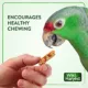 Product Wild Harvest Healthy Benefits Crunch Bars Bird Treats