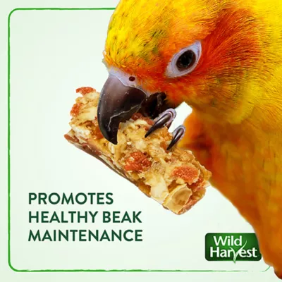 Product Wild Harvest Healthy Benefits Crunch Bars Bird Treats