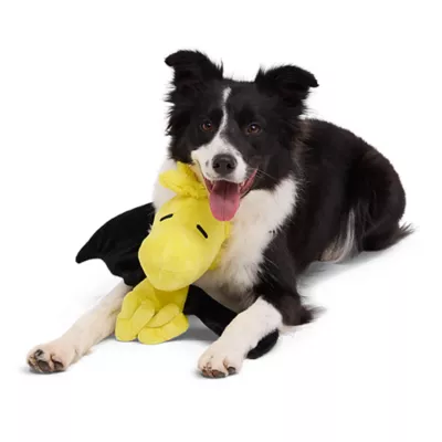 Product BARK Woodstockula Plush Dog Toy